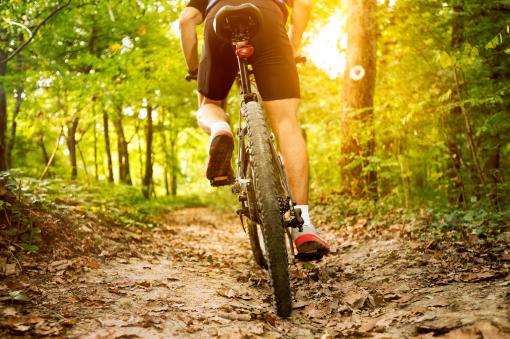 Mountain biker navigating a trail with Lake Superior in the backdrop